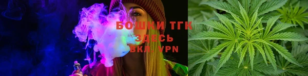 альфа пвп Гусев