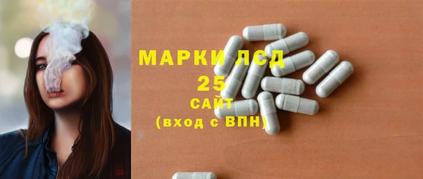 ешки Гусь-Хрустальный