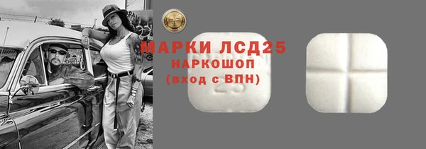 альфа пвп Гусев