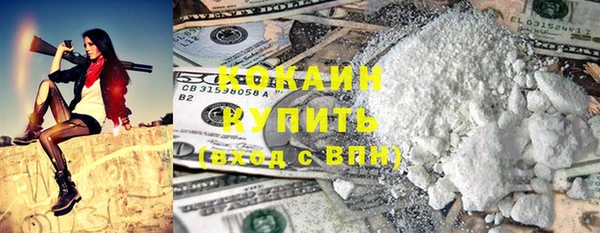 альфа пвп Гусев