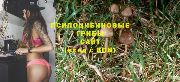 альфа пвп Гусев