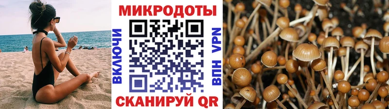 блэк спрут ссылка  Кропоткин  Псилоцибиновые грибы мухоморы 